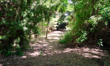 2,49 hectáreas con casa lista para vivir camino a río Claro