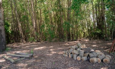 2,49 hectáreas con casa lista para vivir camino a río Claro