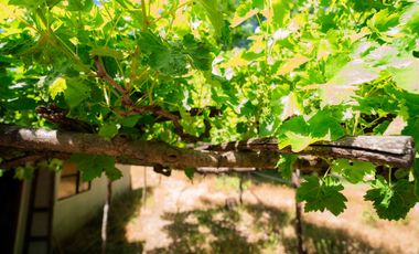 2,49 hectáreas con casa lista para vivir camino a río Claro