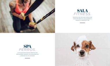 Arrienda sin corretaje - 1D+1B Nuevo