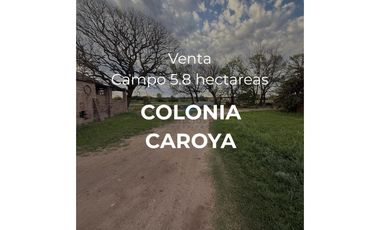 VENTA – CAMPO / LOTE DE 5.83 HECTREAS – COLONIA CAROYA