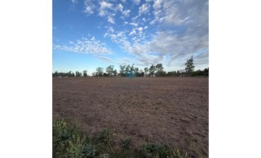 VENTA – CAMPO / LOTE DE 5.83 HECTREAS – COLONIA CAROYA