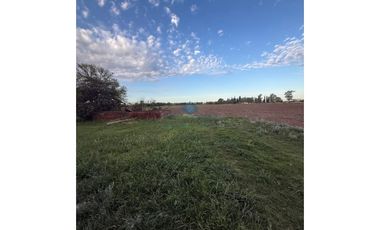 VENTA – CAMPO / LOTE DE 5.83 HECTREAS – COLONIA CAROYA