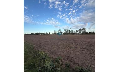 VENTA – CAMPO / LOTE DE 5.83 HECTREAS – COLONIA CAROYA