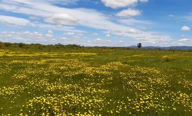 Parcela en Venta en Monteleon