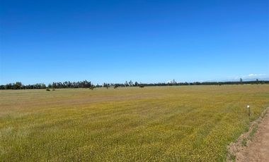 Parcela en Venta en Monteleon