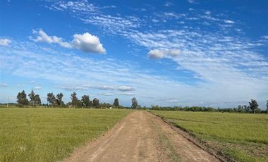 Parcela en Venta en Monteleon