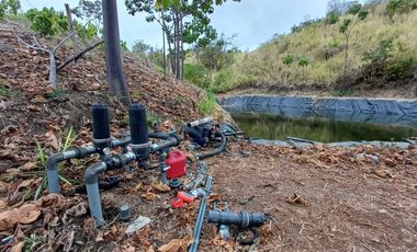 Oportunidad Única: Finca Productiva con Riego y Diversidad Agrícola DiaN