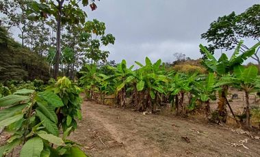 Oportunidad Única: Finca Productiva con Riego y Diversidad Agrícola DiaN