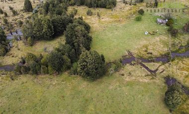 Agrícola en Venta en Colonia El Gato, cercano a Monteverde