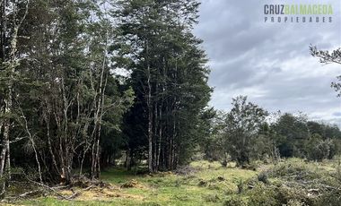 Agrícola en Venta en Colonia El Gato, cercano a Monteverde