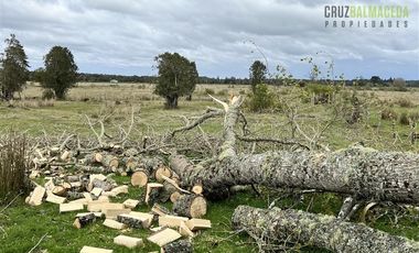Agrícola en Venta en Colonia El Gato, cercano a Monteverde