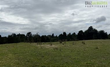 Agrícola en Venta en Colonia El Gato, cercano a Monteverde