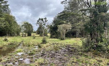 Agrícola en Venta en Colonia El Gato, cercano a Monteverde