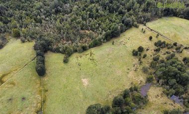 Agrícola en Venta en Colonia El Gato, cercano a Monteverde
