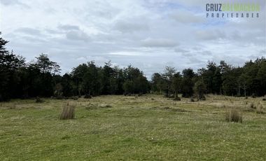 Agrícola en Venta en Colonia El Gato, cercano a Monteverde