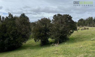 Agrícola en Venta en Colonia El Gato, cercano a Monteverde