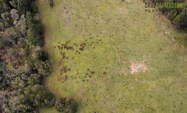 Agrícola en Venta en Colonia El Gato, cercano a Monteverde