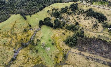 Agrícola en Venta en Colonia El Gato, cercano a Monteverde