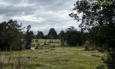 Agrícola en Venta en Colonia El Gato, cercano a Monteverde