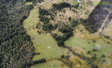 Agrícola en Venta en Colonia El Gato, cercano a Monteverde
