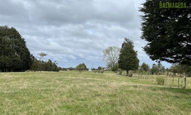 Agrícola en Venta en Colonia El Gato, cercano a Monteverde