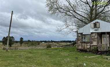 Agrícola en Venta en Colonia El Gato, cercano a Monteverde