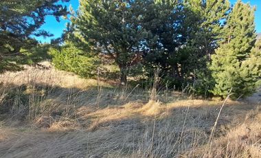 Parcela en venta de 5000m2 ubicado en Coihaique