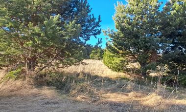 Parcela en venta de 5000m2 ubicado en Coihaique
