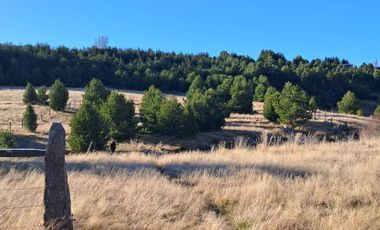 Parcela en venta de 5000m2 ubicado en Coihaique