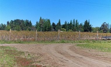 Parcela en Venta en camino Villa Baviera