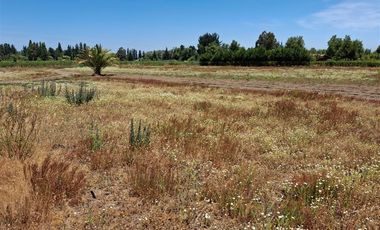 Parcela en Venta en camino Villa Baviera