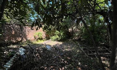 Casa Centro Linares, Región del Maule