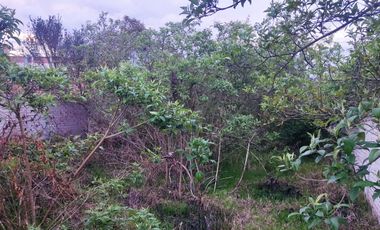 TERRENO DE 500 m², EN VENTA SECTOR IZAMBA, NORTE DE AMBATO