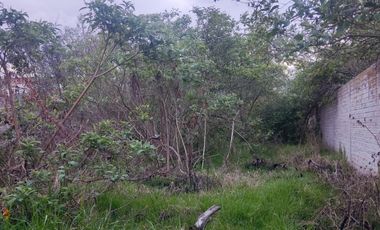 TERRENO DE 500 m², EN VENTA SECTOR IZAMBA, NORTE DE AMBATO