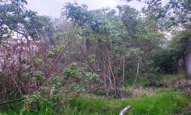 TERRENO DE 500 m², EN VENTA SECTOR IZAMBA, NORTE DE AMBATO