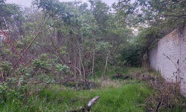 TERRENO DE 500 m², EN VENTA SECTOR IZAMBA, NORTE DE AMBATO