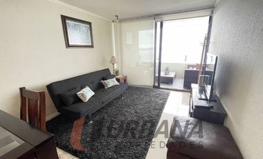 JARDIN DEL MAR DIARIO COQUIMBO