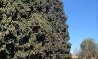 Terreno en venta en ALVEAR