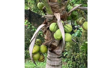 Venta Finca Nocaima cerca Villeta Cundin