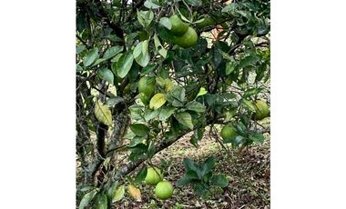 Venta Finca Nocaima cerca Villeta Cundin