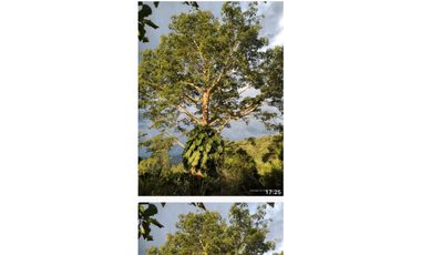 Venta Finca Nocaima cerca Villeta Cundin