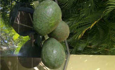 Venta Finca Nocaima cerca Villeta Cundin