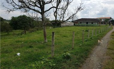 ¡Granja Productiva en EN EL EJE CAFETERO