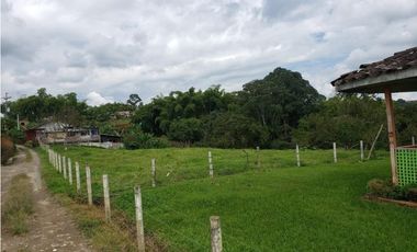 ¡Granja Productiva en EN EL EJE CAFETERO