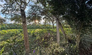 VENTA CASA-LOTE SECTOR LA CABAÑA, VDA EL RIN VIA AEROPUERTO