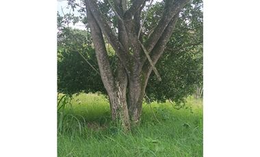 Se Vende Lote en Parcelación Cerritos-La Virginia