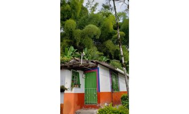 🌄 FINCA CON POTENCIAL TURSTICO Y PRODUCTIVO