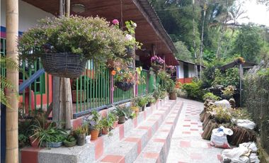 🌄 FINCA CON POTENCIAL TURSTICO Y PRODUCTIVO