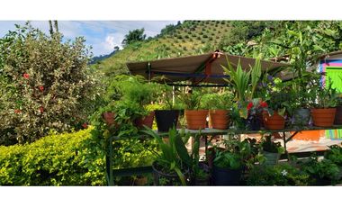 🌄 FINCA CON POTENCIAL TURSTICO Y PRODUCTIVO